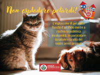 Tutela animali: NO all'esplosione di petardi