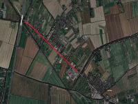 Via Aurelia, senso unico alternato per potatura platani